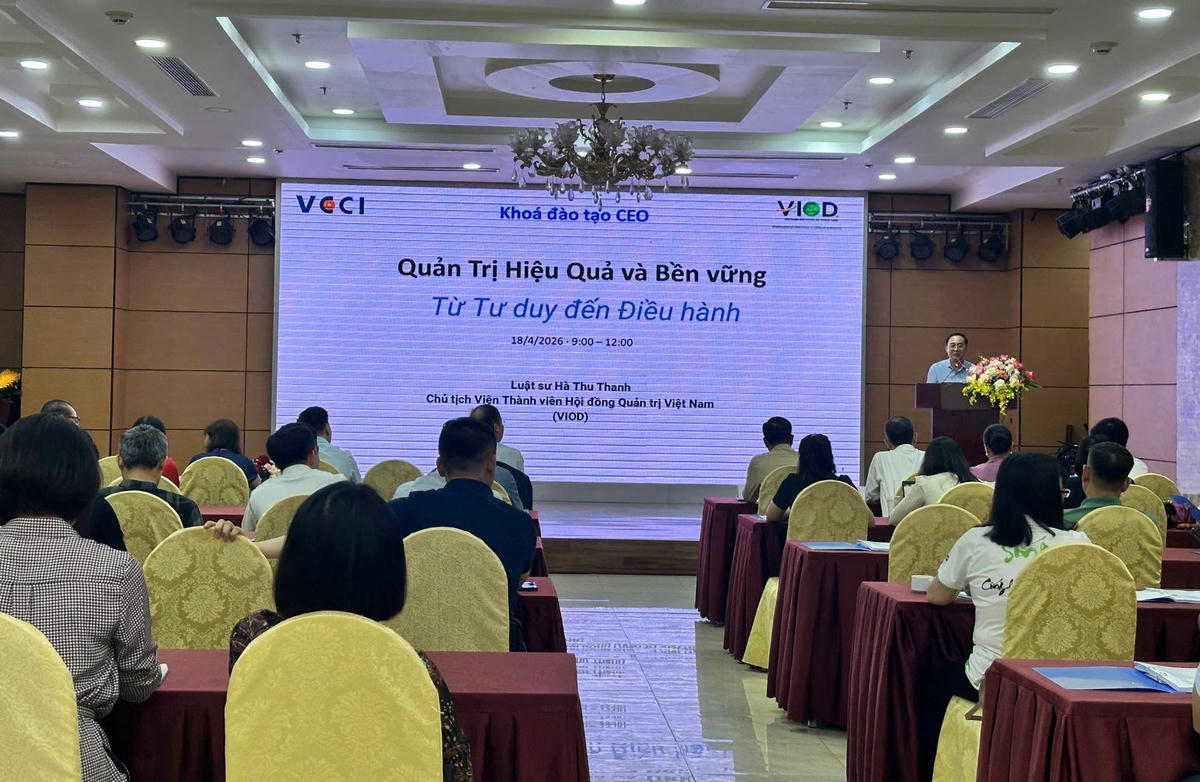 Một khóa đào tạo giám đốc điều hành dành cho doanh nghiệp. Chương trình 10.000 CEO đến năm 2030 triển khai nhiều hình thức từ đào tạo trực tiếp, trực tuyến đến tư vấn, cố vấn chuyên sâu. Ảnh minh họa.