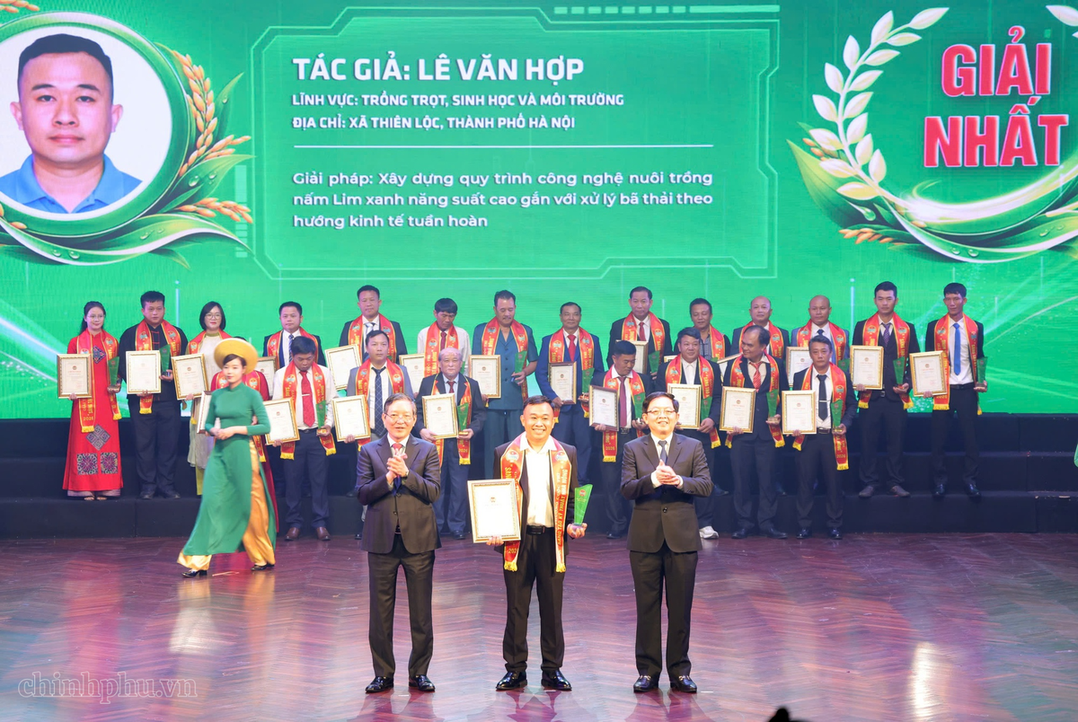 Từ máy lọc mật ong đến nấm Lim xanh: Những sáng kiến nông dân được vinh danh