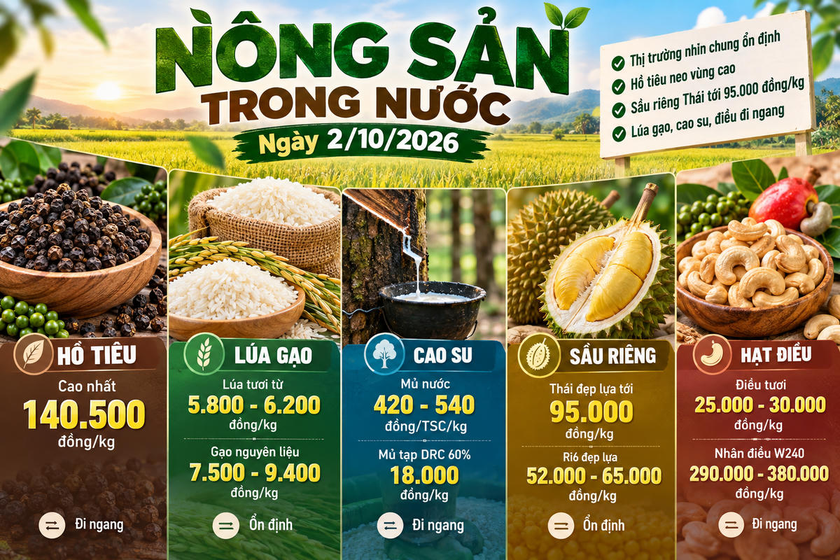 Nông sản trong nước 2/10: Hồ tiêu neo 140.500 đồng/kg, sầu riêng Thái tới 95.000 đồng/kg