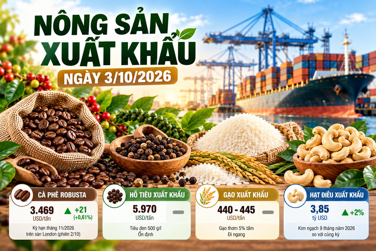 Nông sản xuất khẩu 3/10: Cà phê tăng trên sàn London, hồ tiêu giữ giá cao. Ảnh được tạo với sự hỗ trợ của AI.