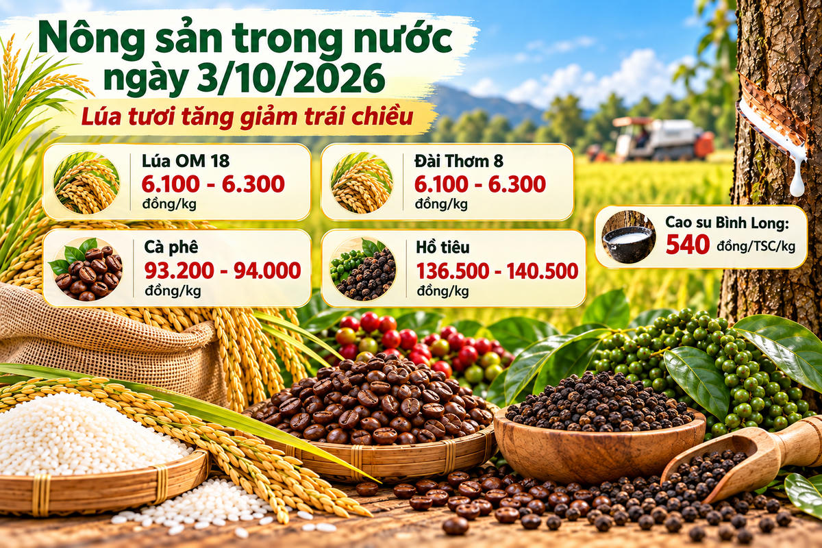 Nông sản trong nước 3/10: Lúa tươi tăng giảm trái chiều, cà phê giữ vùng 94.000 đồng/kg. Ảnh được tạo với sự hỗ trợ của AI.