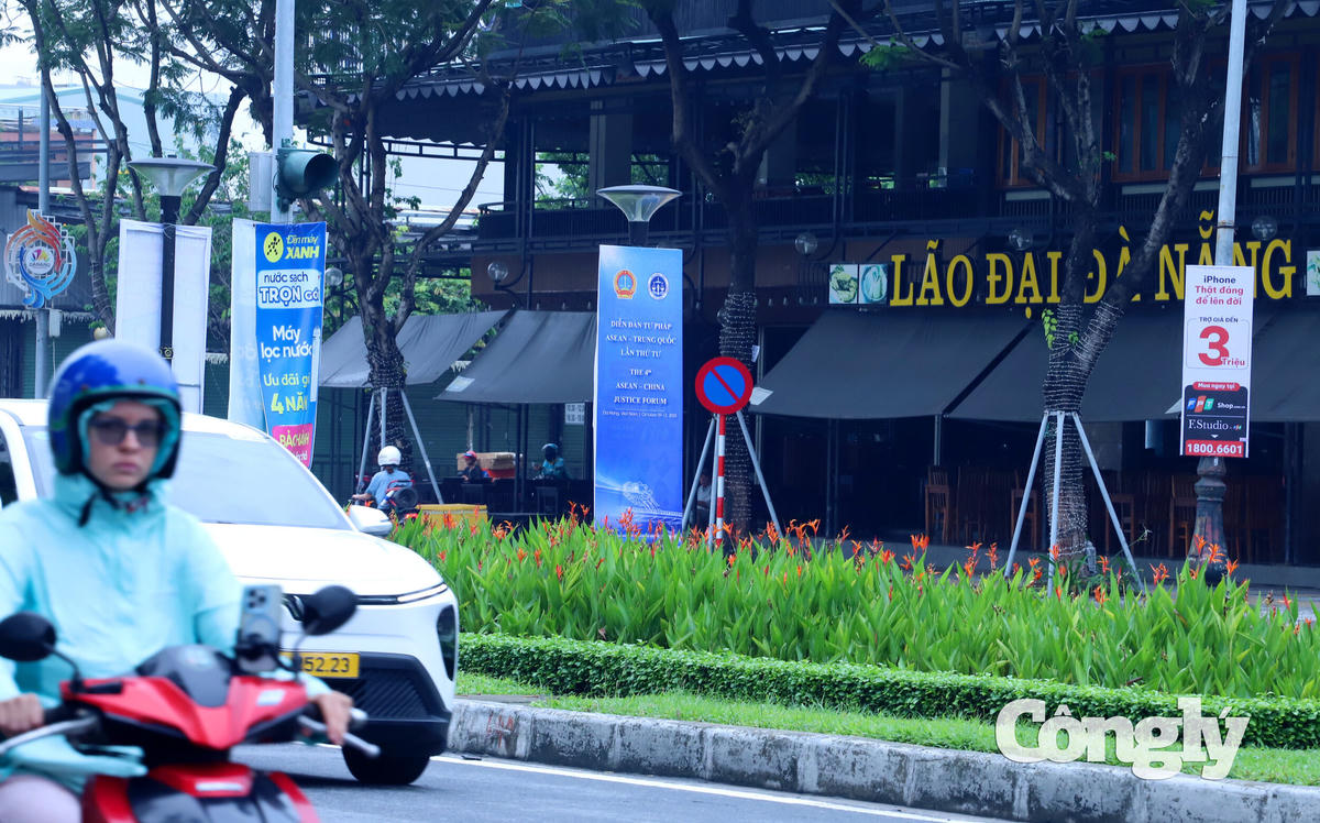 Dien-dan-tu-phap-Asean-Trung Quoc_5052