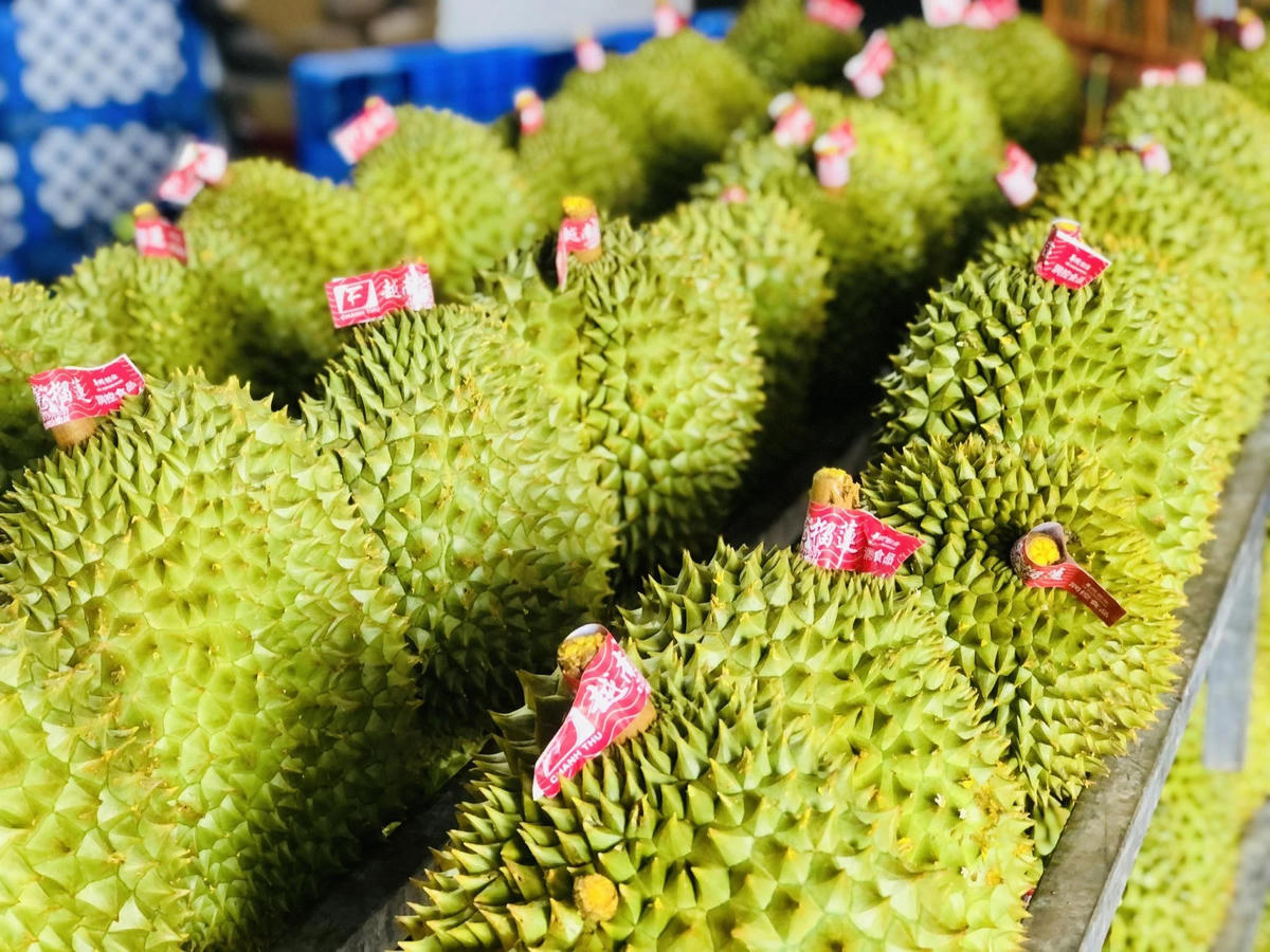 Trung Quốc tiếp tục là đối tác thương mại lớn nhất của Việt Nam trong 9 tháng năm 2026. (Ảnh minh họa)