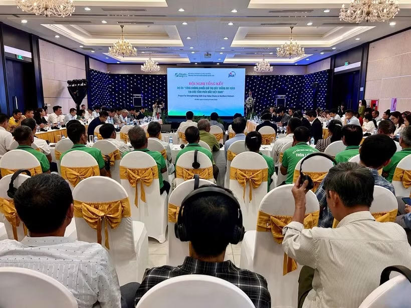 Hợp tác Việt Nam – Nhật Bản: Mở rộng sản xuất nông nghiệp an toàn. (Ảnh: Bnews)
