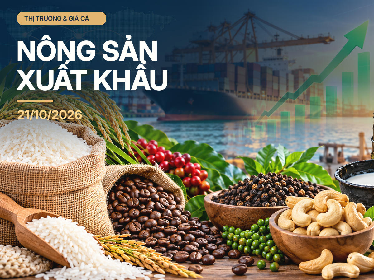 Nông sản xuất khẩu ngày 21/10: Gạo thơm tăng giá, hồ tiêu giữ ổn định. Ảnh minh họa được tạo với sự hỗ trợ của AI.