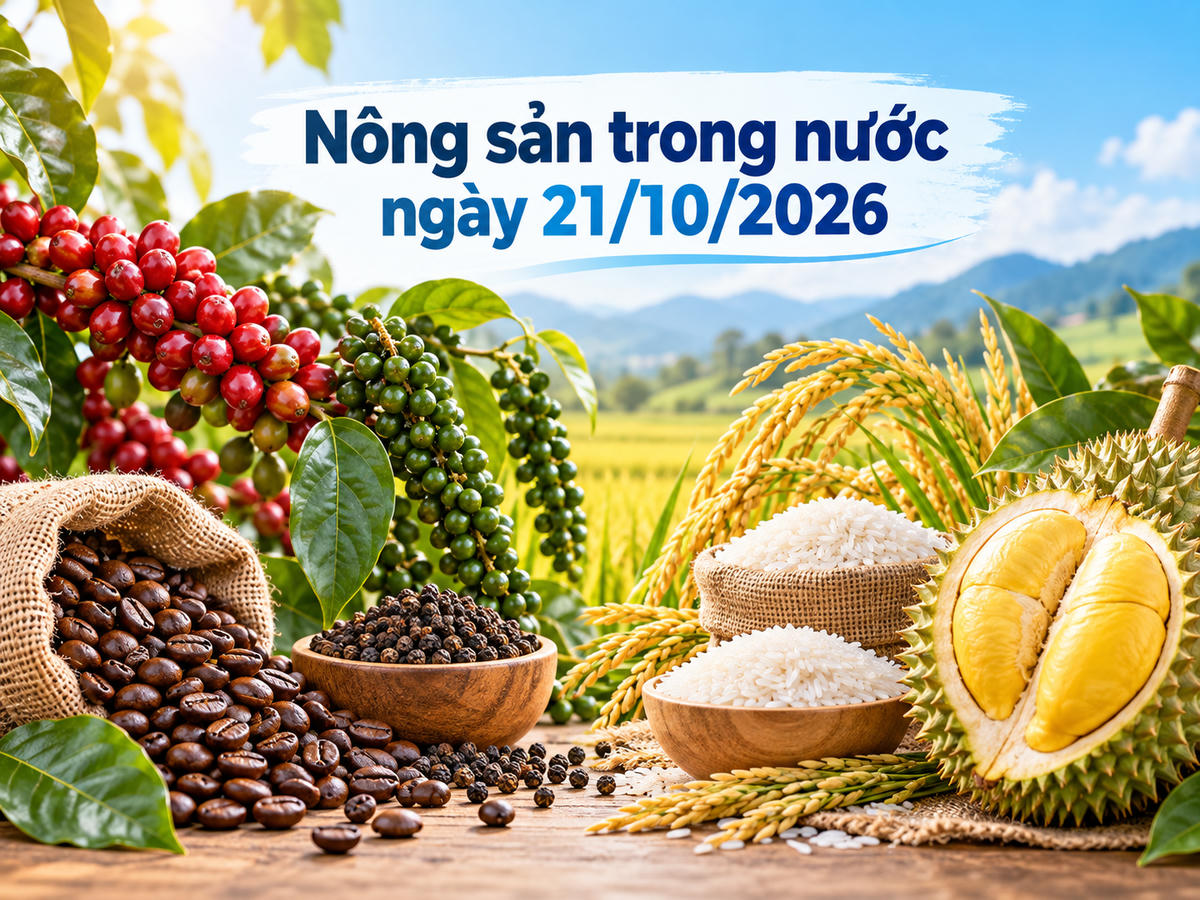 Ngày 21/10, giá cà phê tại các vùng trồng trọng điểm Tây Nguyên đồng loạt giảm 2.000 đồng/kg so với phiên trước, xuống còn 91.200 - 92.000 đồng/kg. Ảnh minh họa được tạo với sự hỗ trợ của AI.