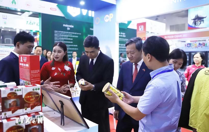 Việt Nam thúc đẩy doanh nghiệp vươn ra thị trường toàn cầu. (Ảnh minh họa)