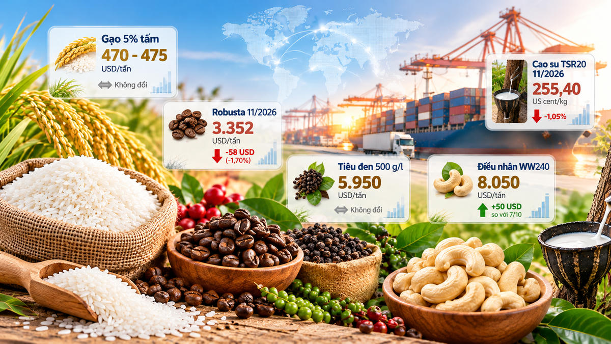 Giá nông sản xuất khẩu ngày 23/10/2026 ghi nhận diễn biến trái chiều. Ảnh minh họa được tạo với sự hỗ trợ của AI.