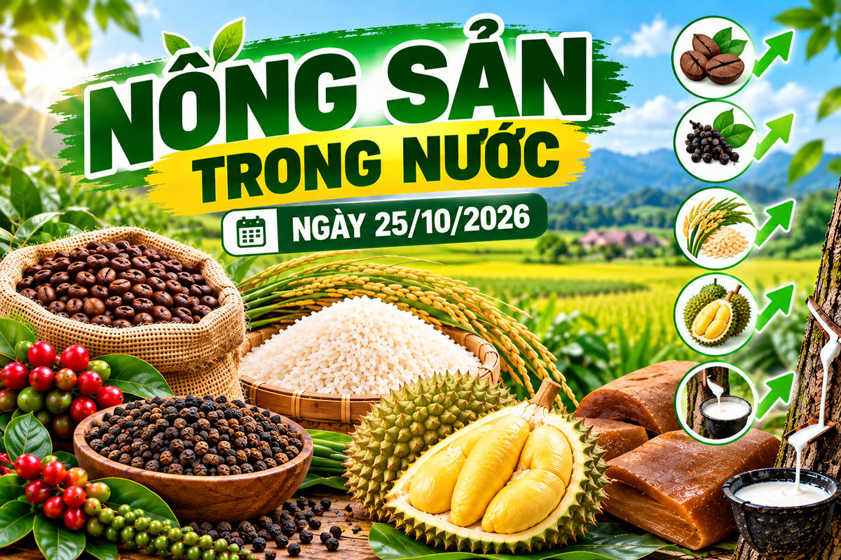 Nông sản trong nước ngày 25/10: Cà phê dưới 90.000 đồng/kg, sầu riêng giảm tại Đắk Lắk. Ảnh minh họa được tạo với sự hỗ trợ của AI.