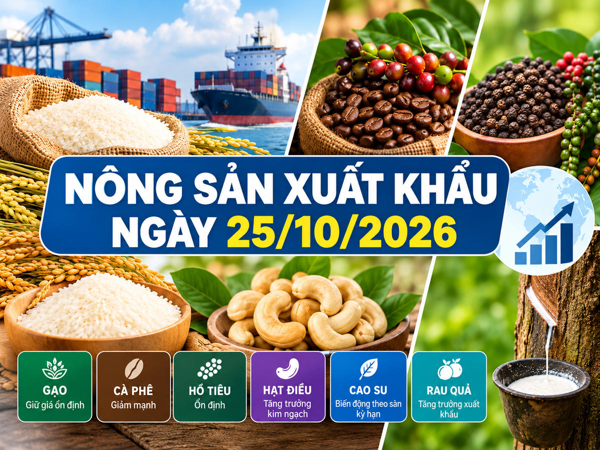 Nông sản xuất khẩu 25/10: Gạo Jasmine chạm 522 USD/tấn, cà phê giảm mạnh. Ảnh minh họa được tạo với sự hỗ trợ của AI.