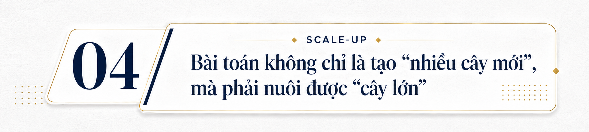 PGS.TS Trương Ngọc Kiểm: Khởi nghiệp Việt Nam bước vào giai đoạn “sàng lọc để nâng chất”