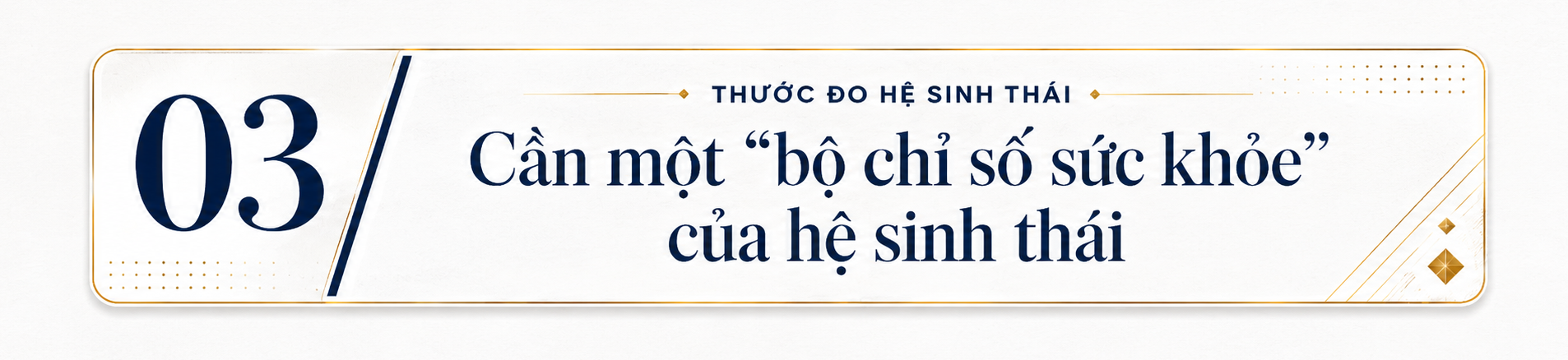 PGS.TS Trương Ngọc Kiểm: Khởi nghiệp Việt Nam bước vào giai đoạn “sàng lọc để nâng chất”