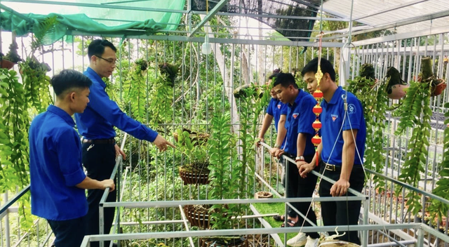 Hỗ trợ thanh niên nông thôn khởi nghiệp công nghệ cao