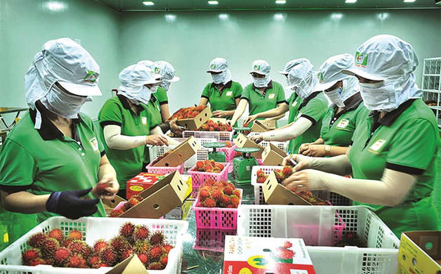 Xuất khẩu 2026: Doanh nghiệp bắt buộc chuyển đổi số và đáp ứng tiêu chuẩn xanh