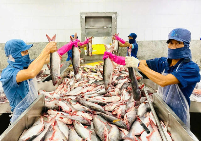 Xuất khẩu nông, lâm, thủy sản đạt 11,3 tỷ USD qua 2 tháng đầu năm 2026