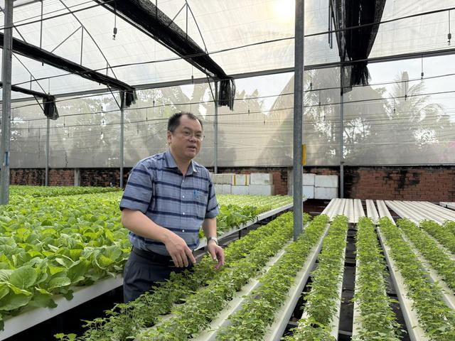 Nông nghiệp xanh: Chìa khóa nâng tầm thương hiệu và giá trị nông sản Việt