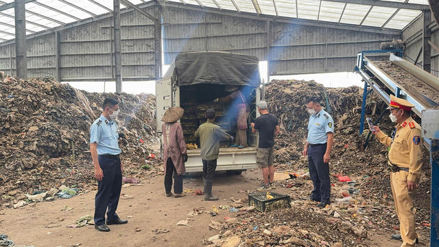 Xử lý, tiêu hủy hơn 13.500 con gia cầm giống và gần 3 tấn lòng lợn không rõ nguồn gốc