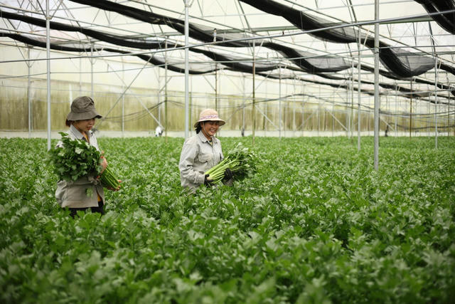 Công nghệ số và ESG thúc đẩy nông nghiệp xanh bền vững