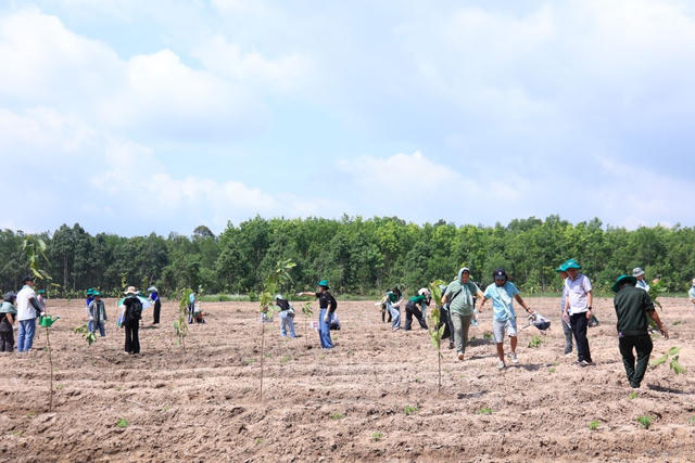 TreeBank kết nối cộng đồng doanh nghiệp phục hồi rừng đầu nguồn, bảo vệ an ninh nguồn nước