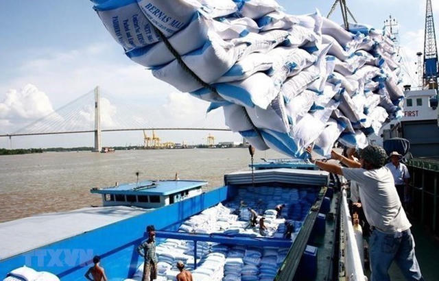 Xuất khẩu gạo tăng sản lượng nhưng giảm giá trị, áp lực tái cấu trúc chuỗi giá trị