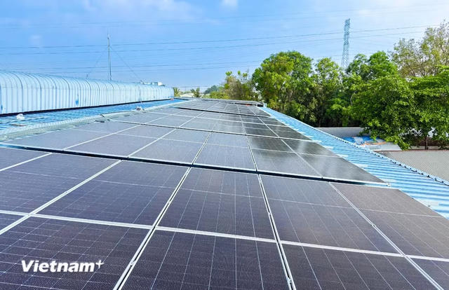 Mavin vận hành hệ thống điện mặt trời đầu tiên tại nhà máy Mekovet ở Đồng Tháp