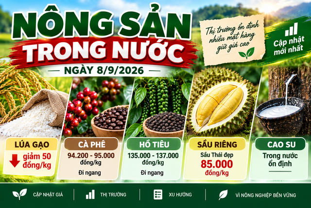 Nông sản trong nước ngày 8/9: Gạo nguyên liệu giảm giá, sầu Thái đẹp giữ mức 85.000 đồng/kg