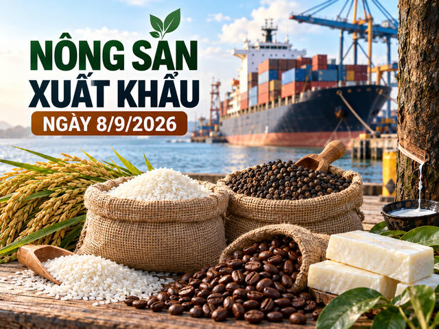 Nông sản xuất khẩu ngày 8/9: Tiêu giữ 6.050 USD/tấn, gạo Jasmine tới 538 USD/tấn