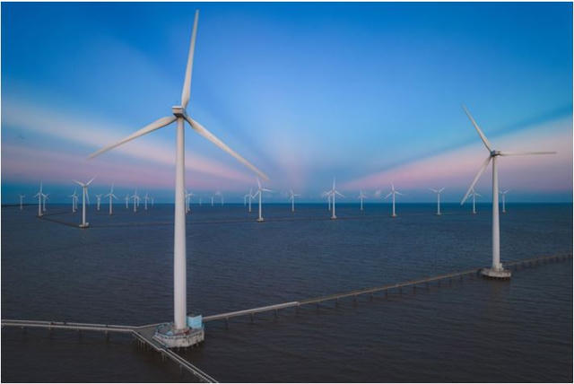 Cà Mau chấp thuận chủ trương hai dự án điện gió công suất khoảng 100MW