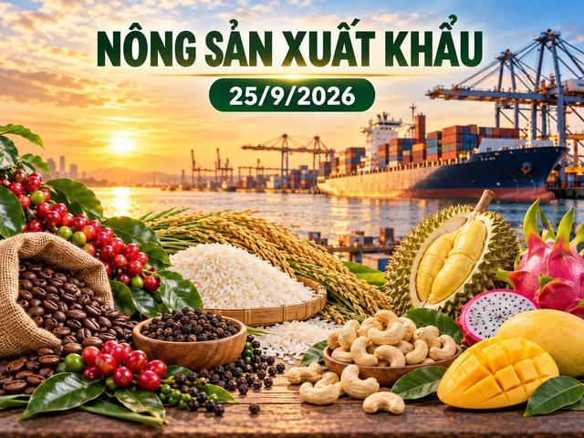 Nông sản xuất khẩu 25/9: Cà phê, hồ tiêu cùng giảm giá; rau quả vượt 7,3 tỷ USD Nông sản xuất khẩu 25/9: Cà phê, hồ tiêu cùng giảm giá; rau quả vượt 7,3 tỷ USD