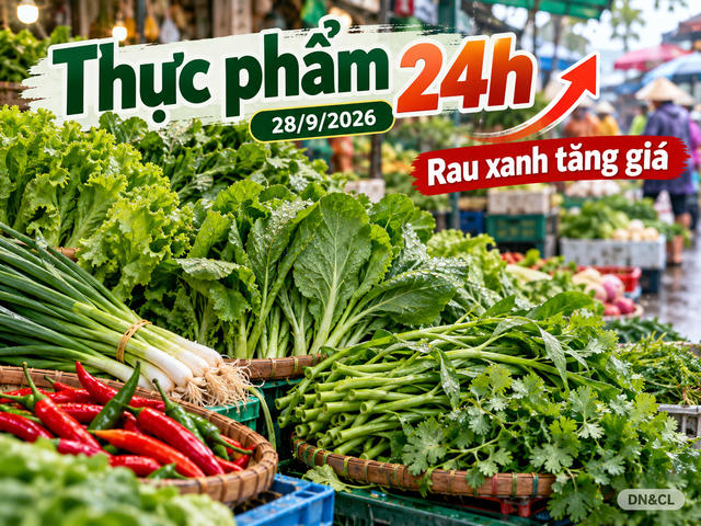Thực phẩm 24h ngày 28/9: Rau xanh tăng theo mưa, cá đồng mùa lũ đắt thêm Thực phẩm 24h ngày 28/9: Rau xanh tăng theo mưa, cá đồng mùa lũ đắt thêm
