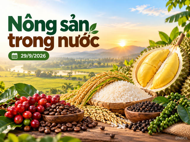 Nông sản trong nước 29/9: Cà phê, hồ tiêu đi ngang; gạo nguyên liệu tăng nhẹ