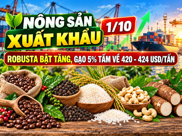 Nông sản xuất khẩu 1/10: Robusta bật tăng, gạo 5% tấm về 420 - 424 USD/tấn