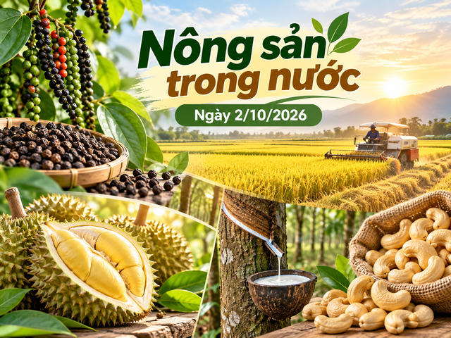 Nông sản trong nước 2/10: Hồ tiêu neo 140.500 đồng/kg, sầu riêng Thái tới 95.000 đồng/kg