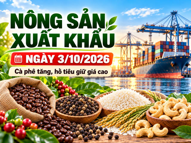 Nông sản xuất khẩu 3/10: Cà phê tăng trên sàn London, hồ tiêu giữ giá cao