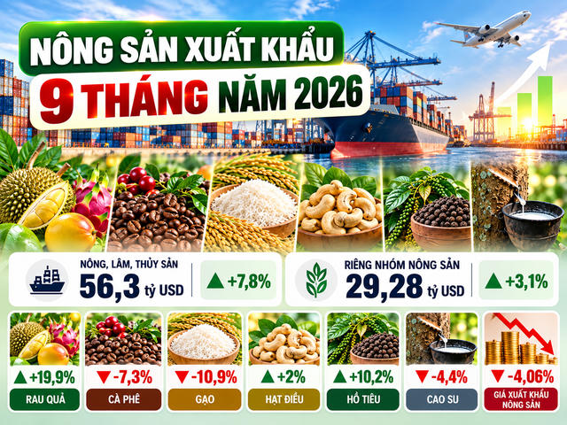 Nông sản xuất khẩu 9 tháng: Rau quả tăng gần 20%, cà phê và gạo giảm giá trị