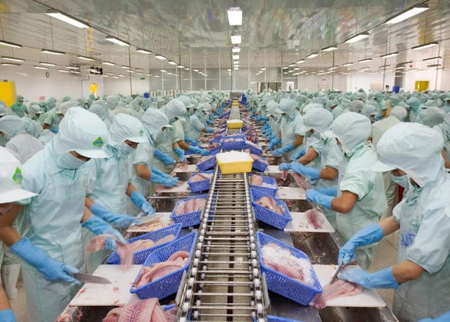 Hoàn thuế nhập khẩu: Doanh nghiệp thủy sản cần lưu ý gì?
