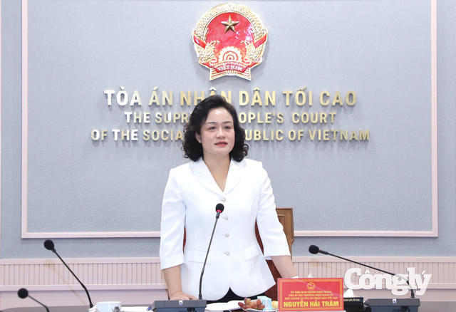 Phó Chánh án Nguyễn Hải Trâm: Tập trung bố trí Thẩm phán phù hợp, đáp ứng yêu cầu nhiệm vụ