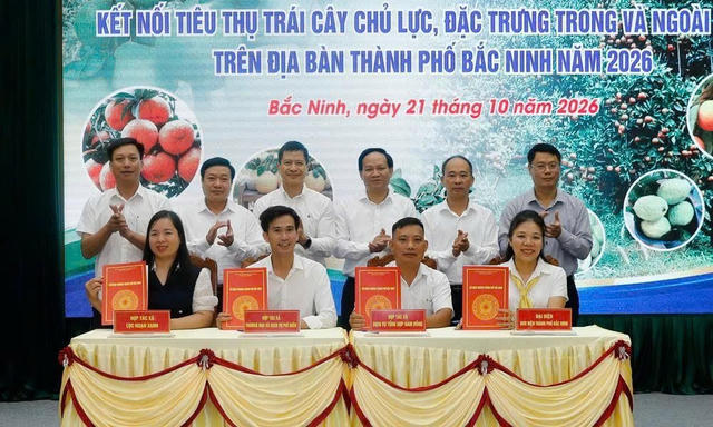 Bắc Ninh tìm hướng nâng giá trị trái cây chủ lực