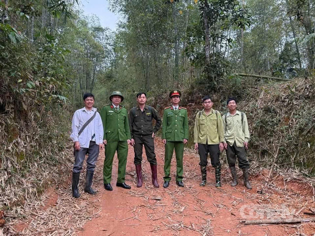 Giữ màu xanh Pù Luông từ sức mạnh cộng đồng