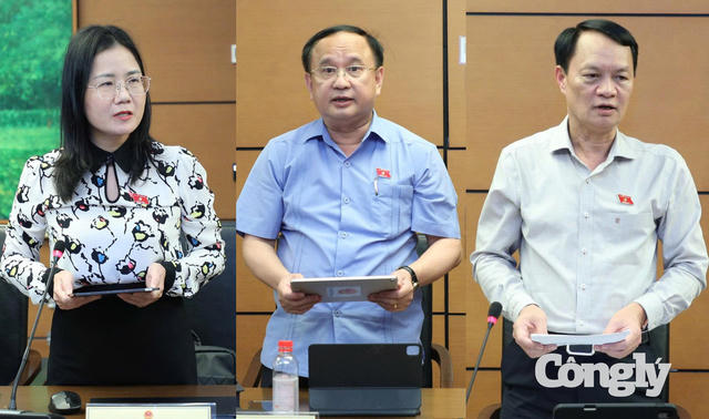 Đại biểu Quốc hội góp ý hoàn thiện dự án Luật Sở hữu trí tuệ Đại biểu Quốc hội góp ý hoàn thiện dự án Luật Sở hữu trí tuệ