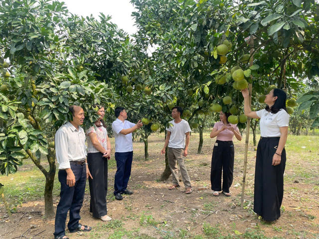 Lào Cai: Minh bạch nguồn gốc, mở rộng thị trường tiêu thụ nông sản Lào Cai: Minh bạch nguồn gốc, mở rộng thị trường tiêu thụ nông sản