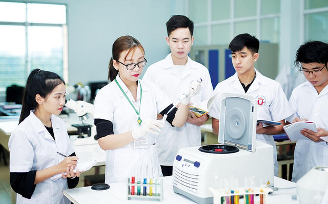 Chuẩn hóa tiêu chuẩn, chế độ đối với nhân sự hỗ trợ giáo dục đại học